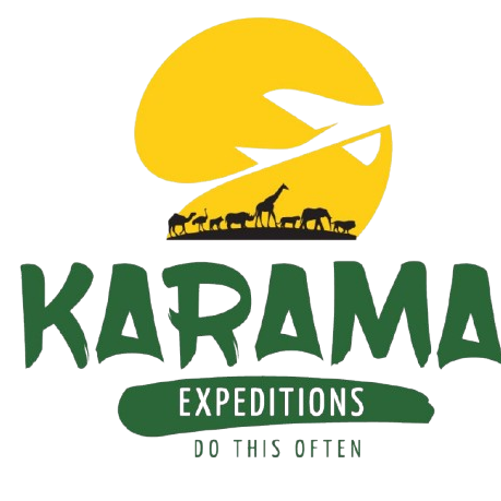 logo-image